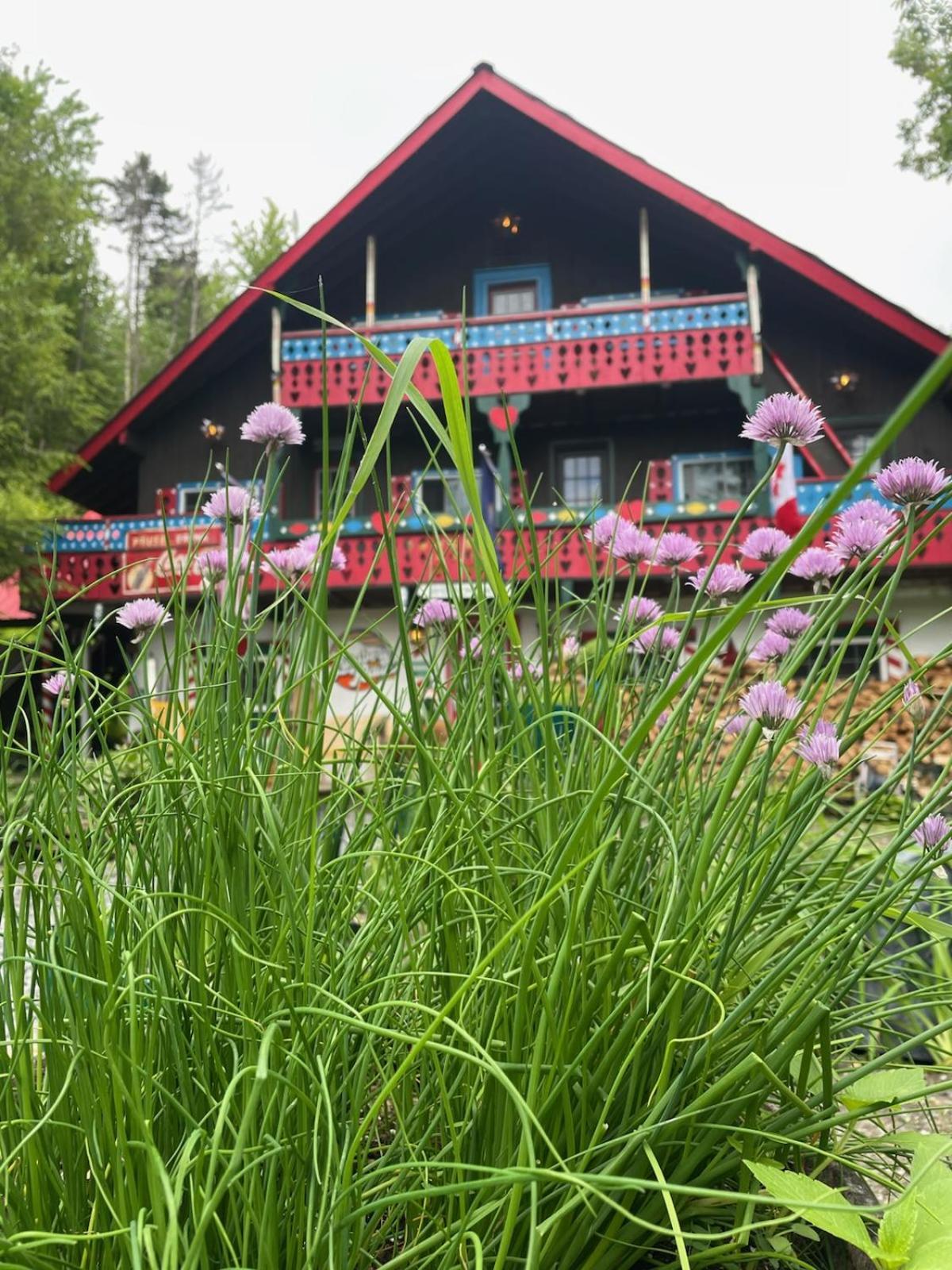 Grunberg Haus Inn & Cabins Waterbury Ngoại thất bức ảnh